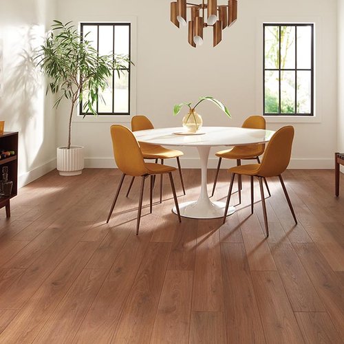 Dining Room Luxury Vinyl Plank LVP - COLORTILE of Kennewick in Kennewick, WA
